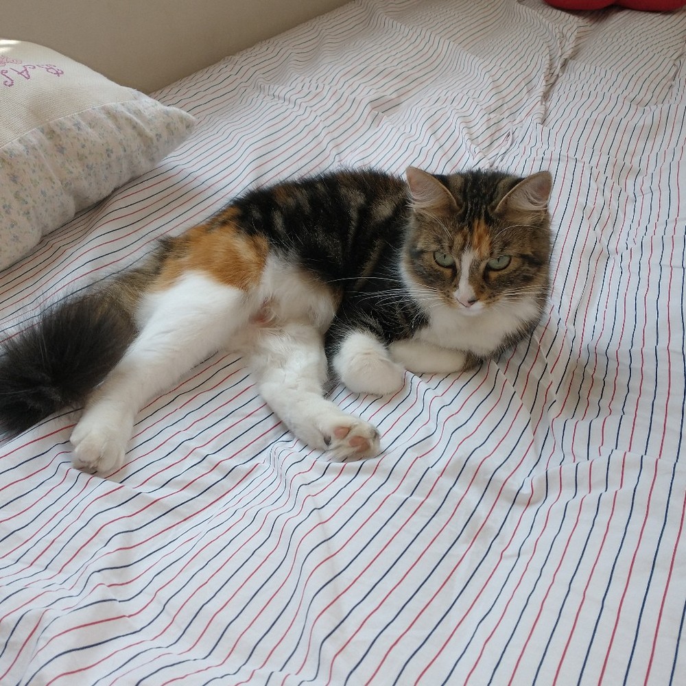 Meet your Posher, Posh